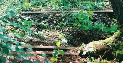 Peasmarsh Junction disgarded rails