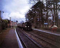 Cranleigh Station looking East - early 1960's